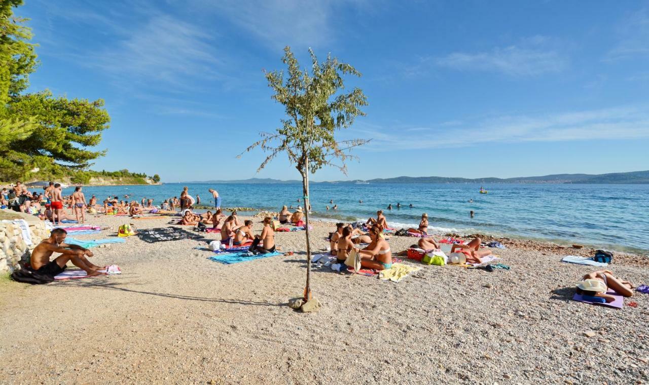 Apartman Olive Garden Zadar Zewnętrze zdjęcie